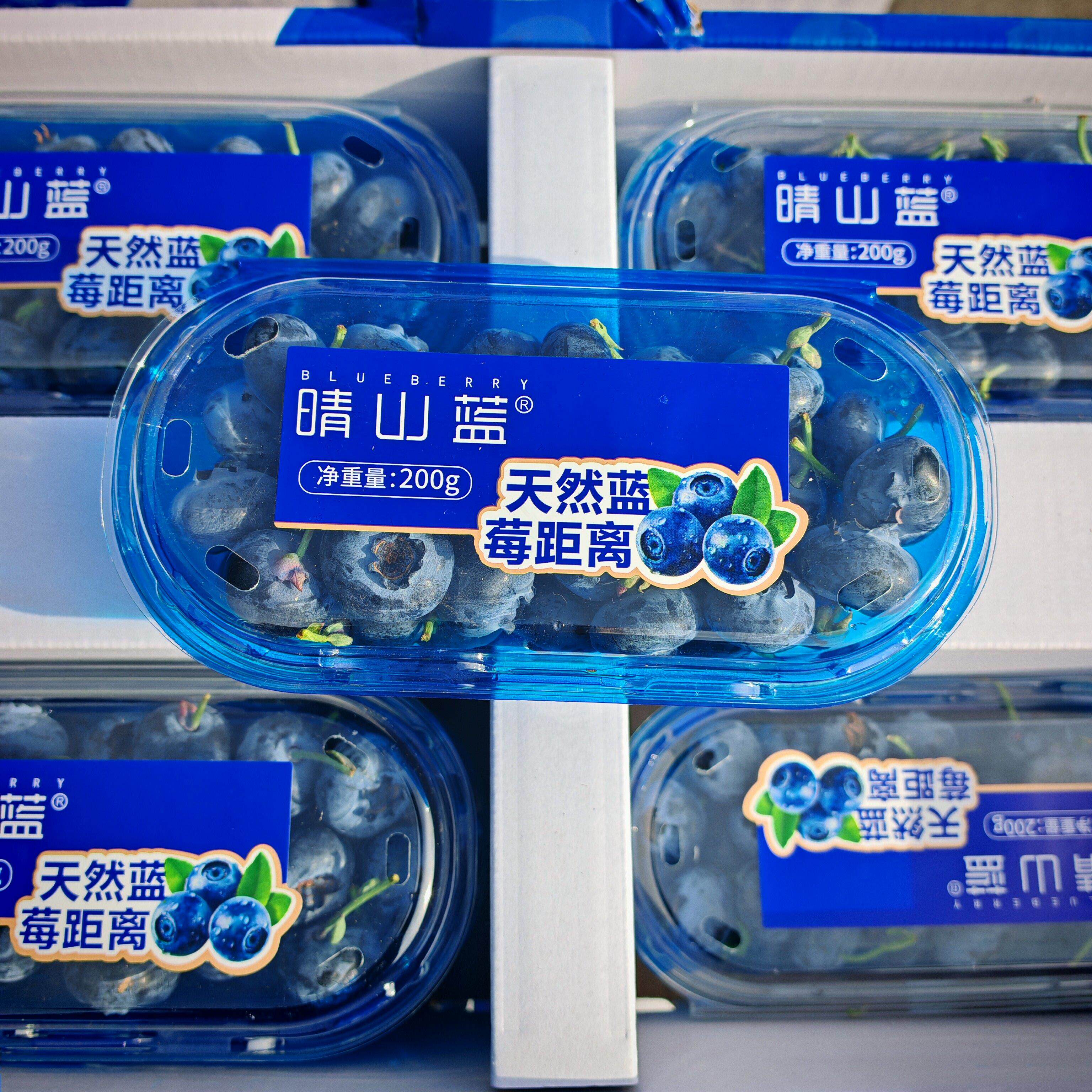 晴山蓝云南山地新鲜蓝莓王当季果王酸甜蓝莓孕妇学生吃水果