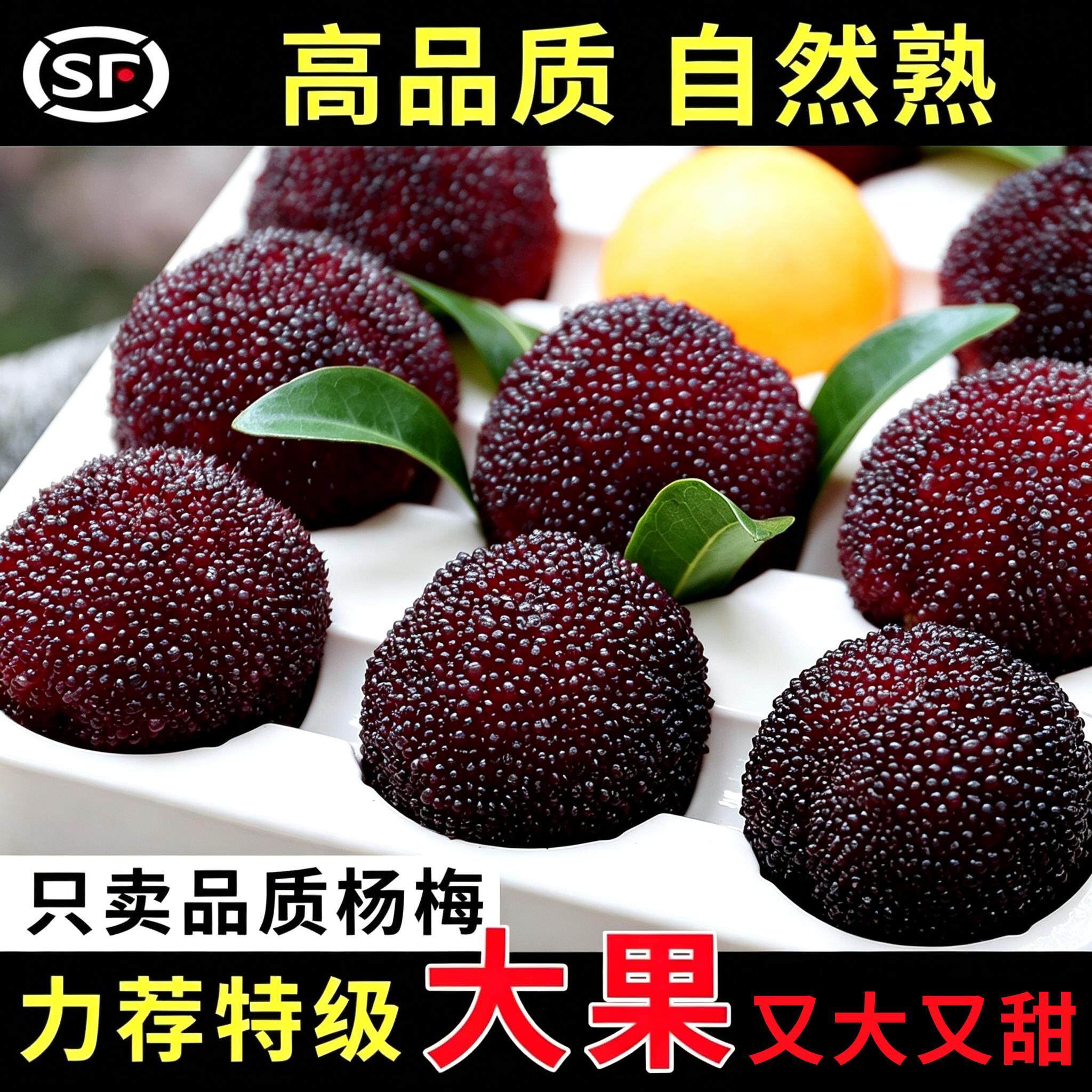 【特级】正宗仙居东魁杨