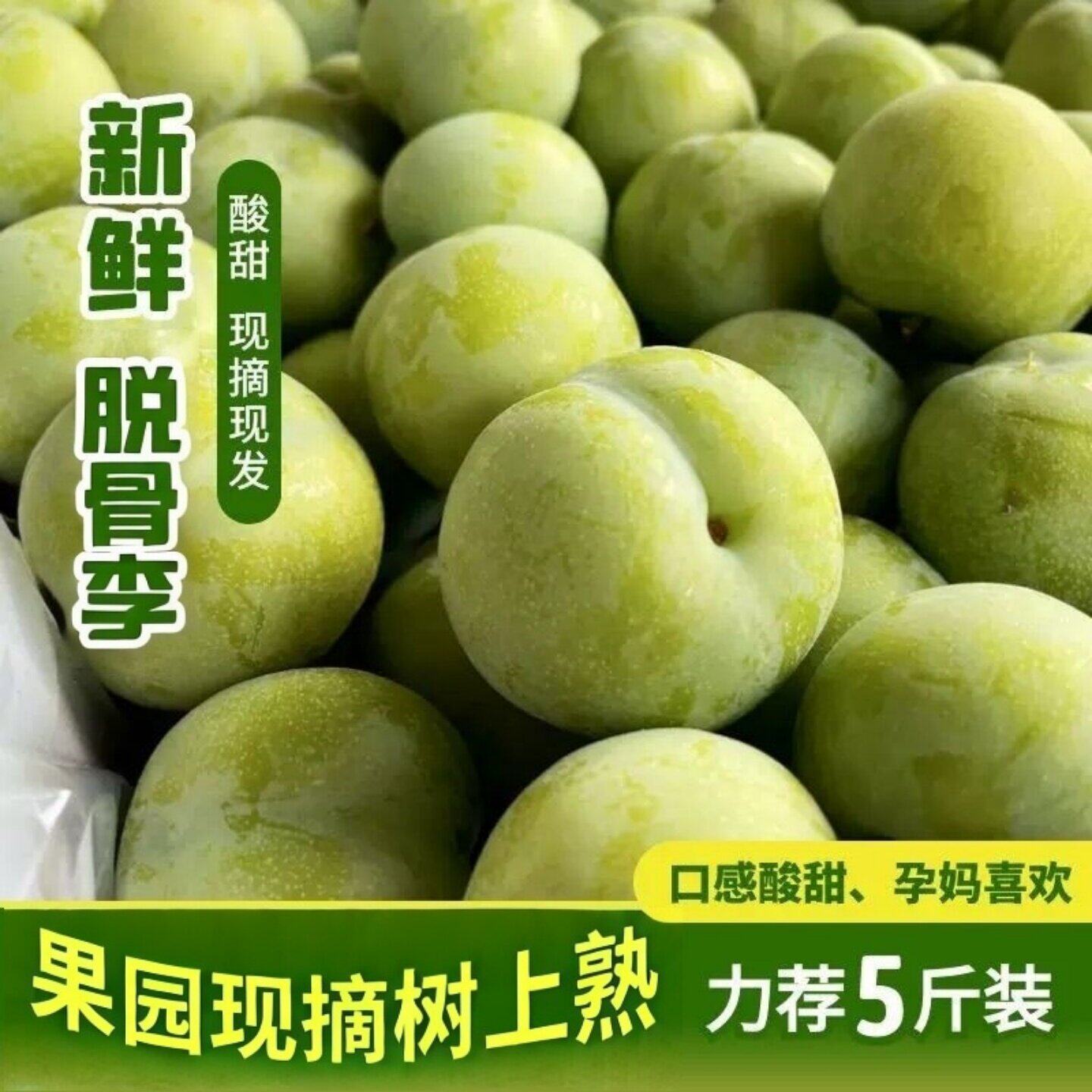 现摘现发5斤青脆李新鲜水