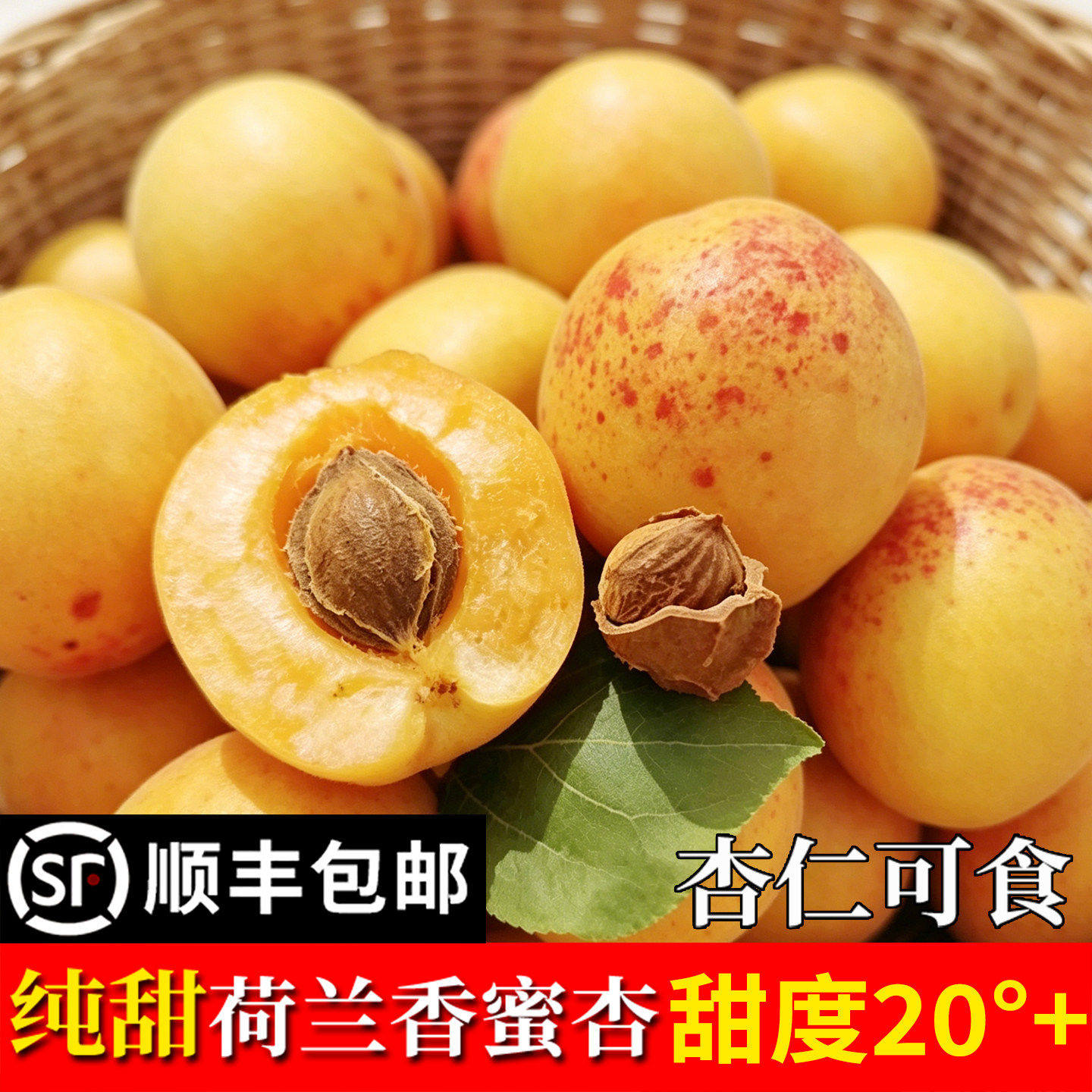 正宗荷兰香蜜杏现摘纯甜