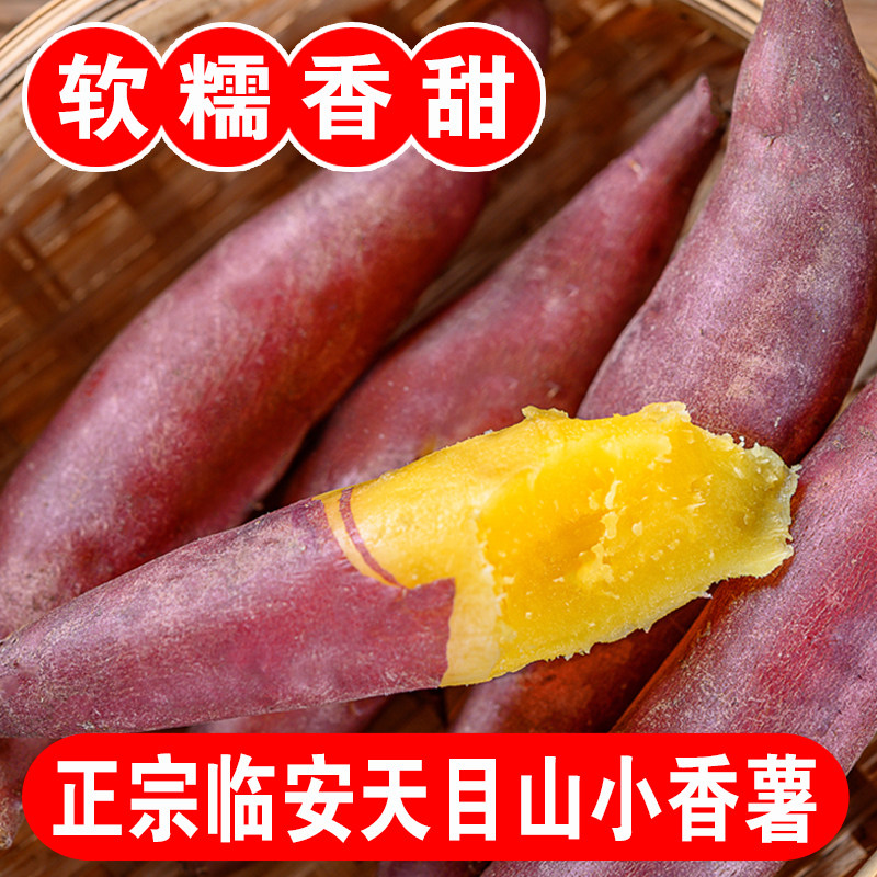 临安天目山小香薯板栗红