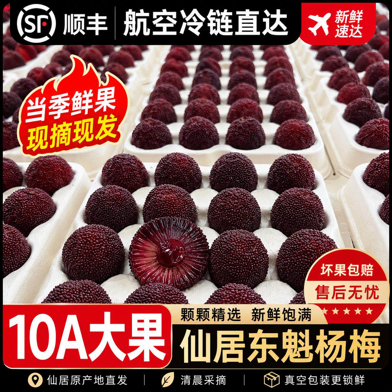 正宗仙居杨梅东魁精品产