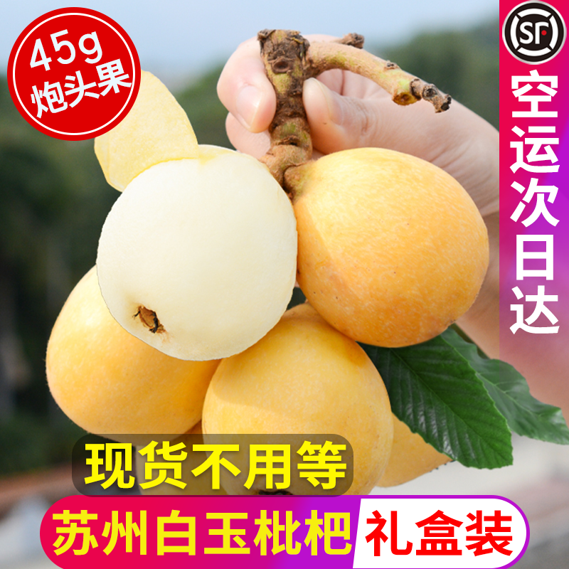 现货正宗苏州东山白玉枇杷应当季新鲜水果炮头整箱青种枇杷礼盒装