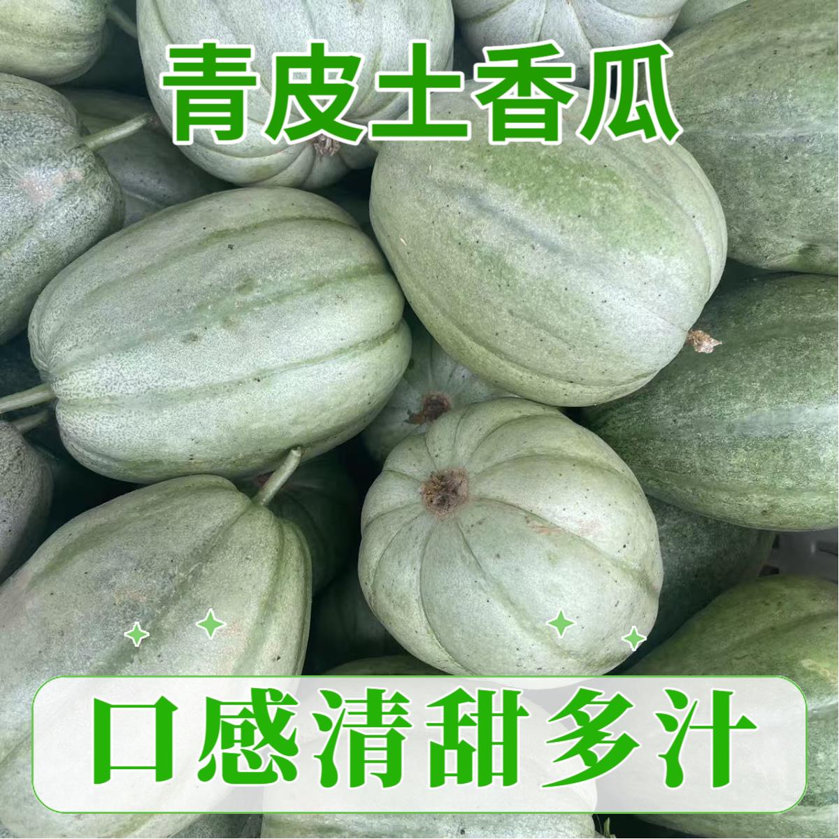 【湖北土香瓜】农家露天