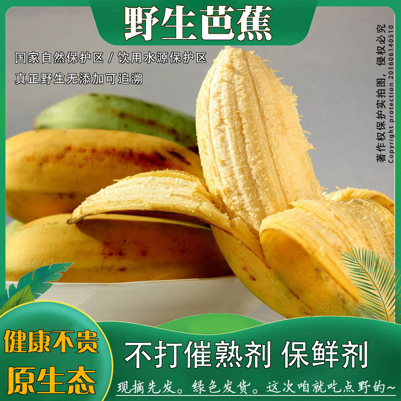 高山自然熟野生大芭蕉酸甜新鲜牛角蕉母婴放心吃水果养生药食兼用