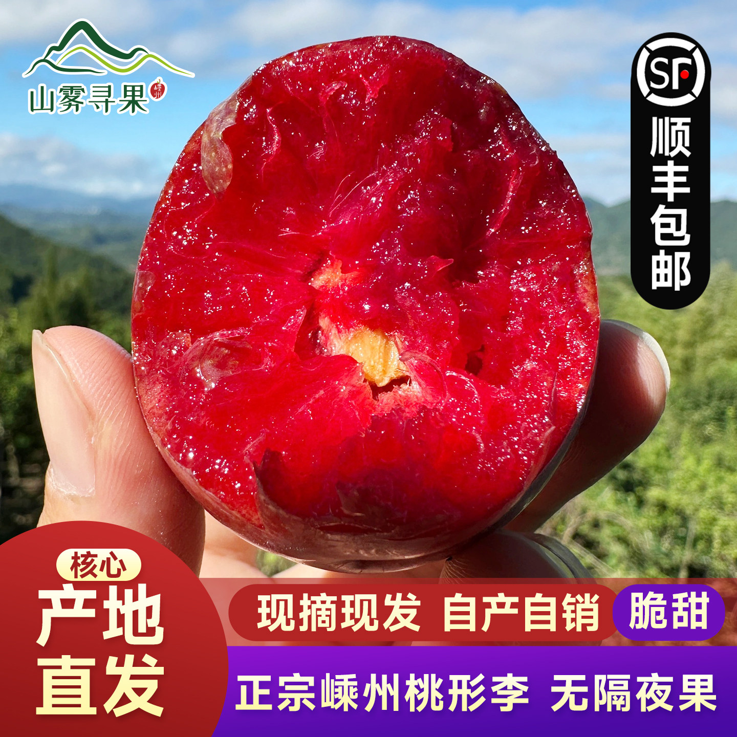 嵊州桃形李子新鲜水果当