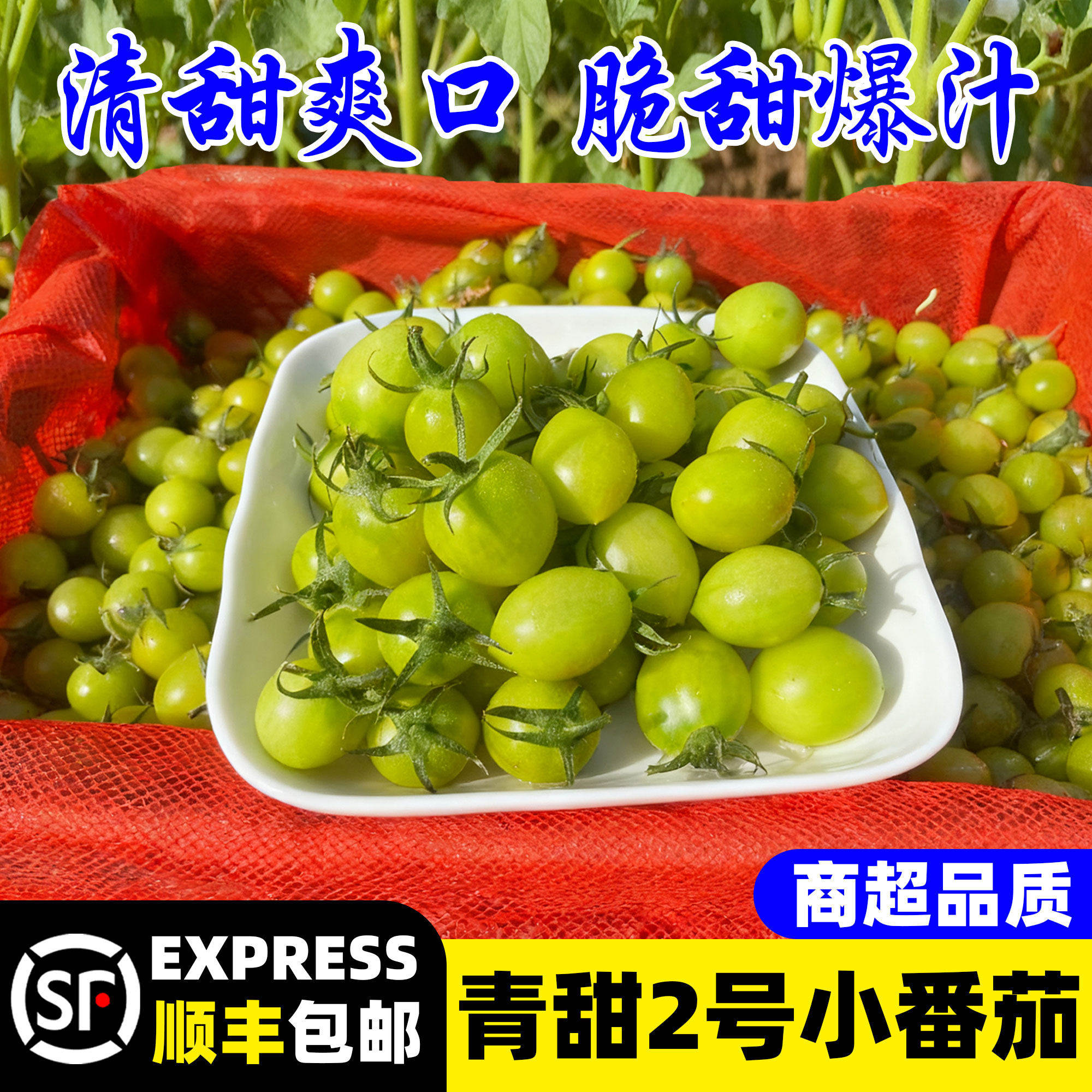 青甜2号小番茄新鲜圣女果