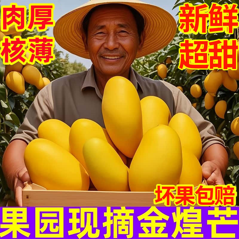 特大广西金煌芒果10斤新鲜超甜水果应当季热带水果芒果果园直发甜
