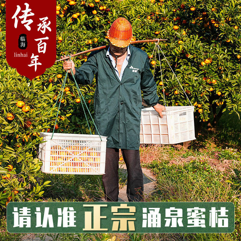 超甜浙江临海涌泉蜜桔当季水果10斤装整箱橘子新鲜无核黄岩蜜橘