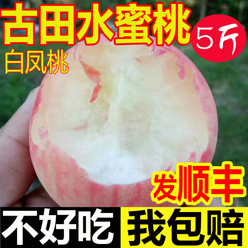 古田桃福建古田桃古田白凤桃古田水蜜桃古田白凤水蜜桃水蜜桃5斤