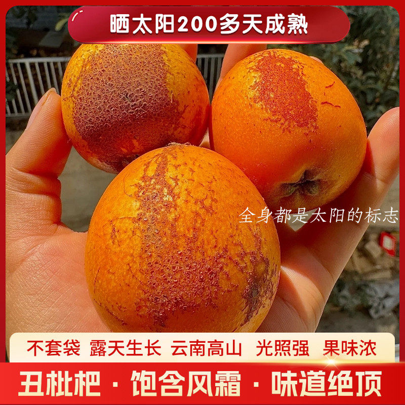 云南昭通大兴高山丑枇杷不套袋产地直发新鲜水果采摘顺丰五斤包邮
