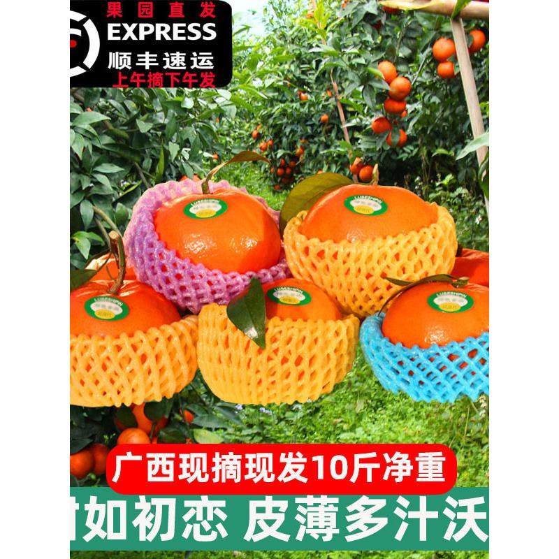 广西武鸣沃柑10斤新鲜水果当季整箱正宗礼盒现摘现发柑橘顺丰,包装,水果包装,淘宝优惠券,粉丝福利购,淘宝优惠卷