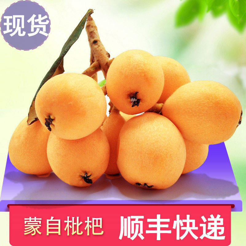 【顺丰快递】云南蒙自枇杷果5斤/2斤(净重) 新鲜水果,包装,水果包装,淘宝优惠券,粉丝福利购,淘宝优惠卷