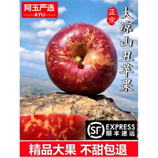大凉山丑苹果礼盒大果四川盐源水果新鲜冰糖心泸沽湖野生现摘当季