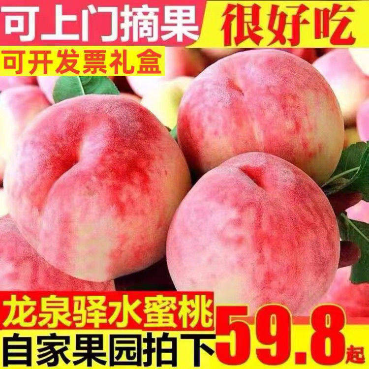 正宗四川龙泉驿水蜜桃小