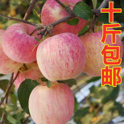 山西翼城富硒晚熟红富士苹果新鲜红富士苹果现摘现发脆甜十斤包邮