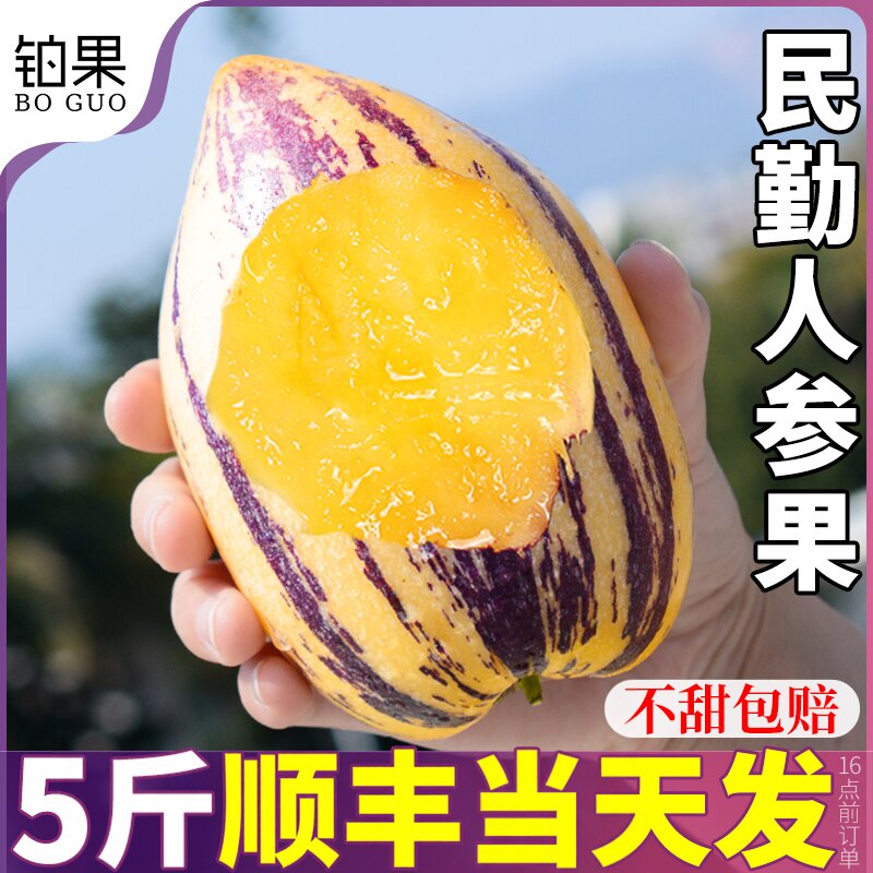 树上熟顺丰5斤甘肃民勤