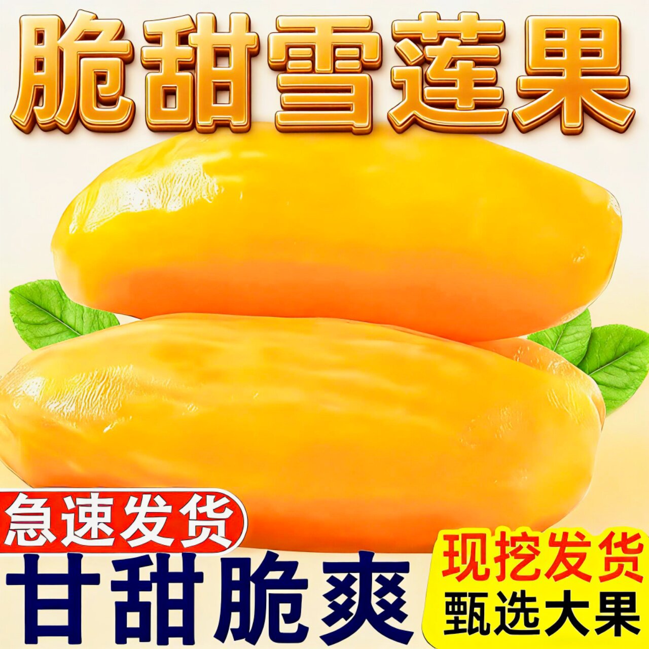 新果!云南天山雪莲鲜大