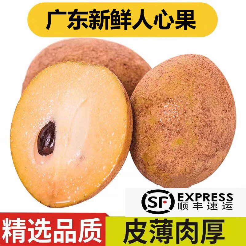 现货广东人心果新鲜当季