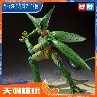 万代SHF 再贩 龙珠Z 沙鲁 第一形态 多配件 可动手办模型套装