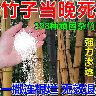 竹子烂根专用药竹根连根除强力去竹粉除青竹子灌木杂草腐蚀烂根粉