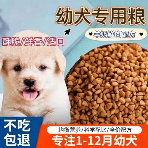 狗粮小型犬奶糕幼犬狗粮泰迪拉布拉多金毛土狗比熊幼崽通用型批