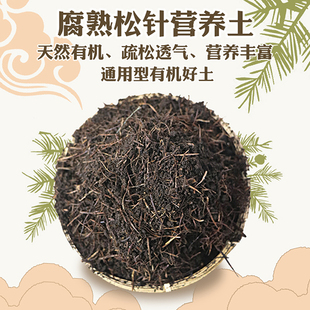 发酵松针营养土酸性腐殖质通用型土花土绿植蓝莓兰科月季 牡丹杜鹃