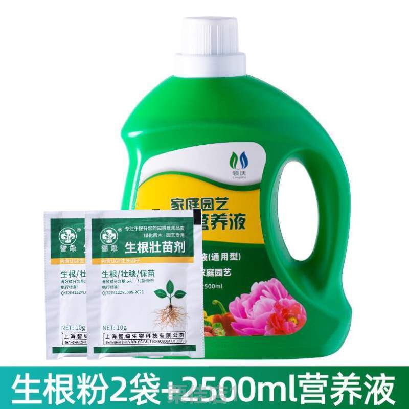 !绿萝盆肥料喷洒养花草花店铜钱培养鲜切花花卉插花家用盆栽园艺