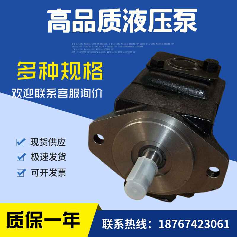 派克丹尼逊DENISON叶片油泵T7DS-B42-1R00-A/B14/B17/B20/B22/B24