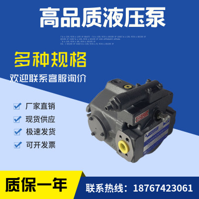 东京计器柱塞泵P16V-RS-11-CM-10-J机床P21VMR-10-CMC-20-S121B-J