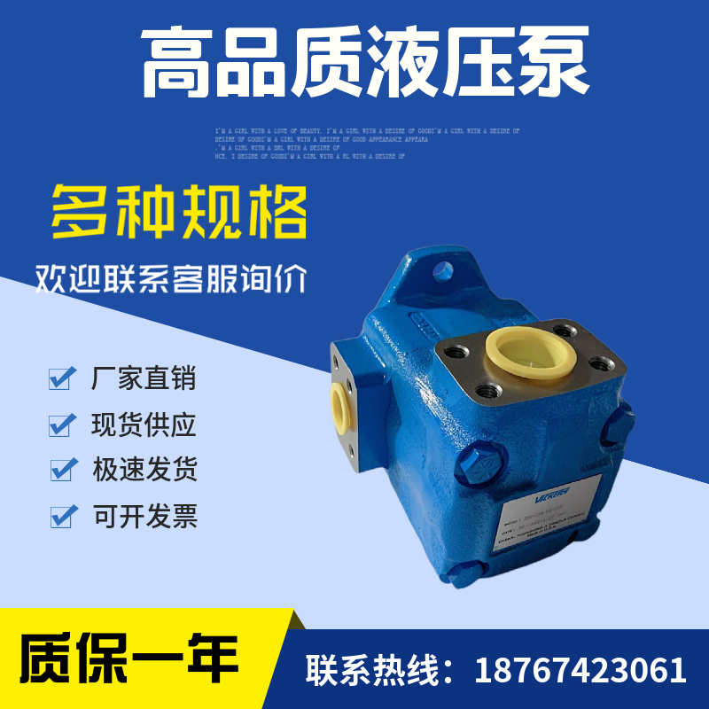 美国VICKERS威格士35V-38A-1A 1B 1C 1D-22R液压叶片泵液压站油泵