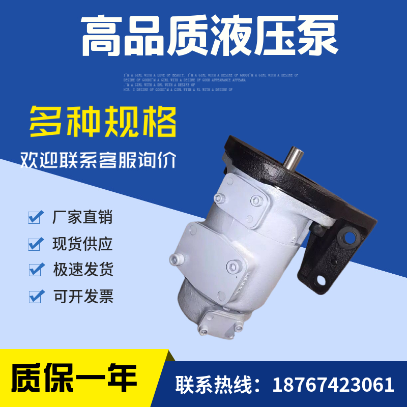 日本东京计器油泵SQP21-12-14-86CD-18；SQP21-10-14-1CD-18