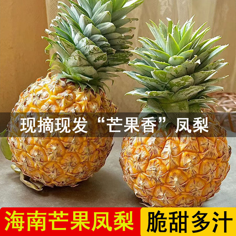 【收到即食】海南芒果香凤梨5斤精选新鲜大果香甜特产手撕非菠萝