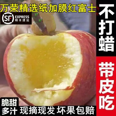 山西运城万荣苹果精选大果10斤装