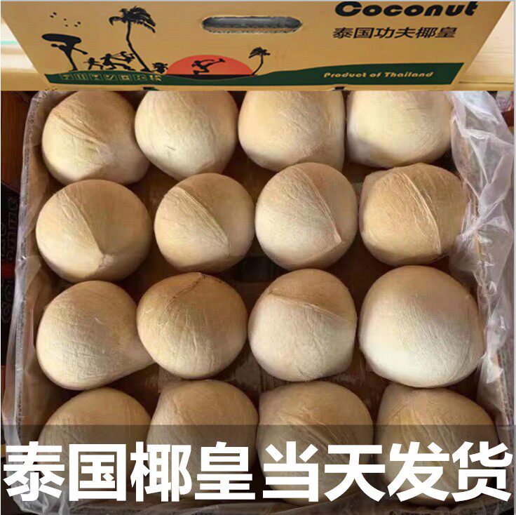 泰国奶椰大果牛奶椰皇500~700克