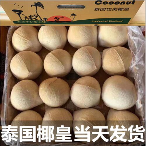 泰国奶椰大果牛奶椰皇500~700克