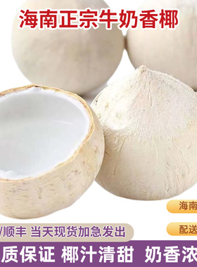 海南三亚牛奶椰皇9个装大果新鲜现摘孕妇水果椰子蛋奶香水椰子
