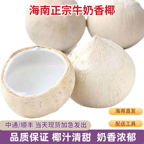 顺丰速发海南三亚牛奶椰皇9个装