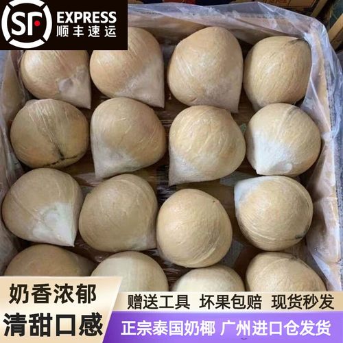 泰国小奶椰牛奶椰皇现摘现发