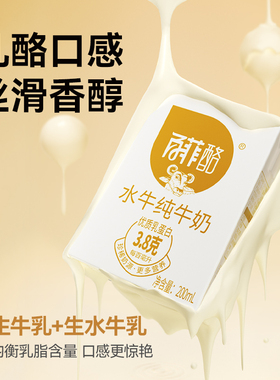 百菲酪3.8g水牛纯牛奶10盒*4箱装广西水牛奶