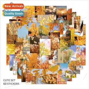 decline landscape autumn notebook stickers new repeating