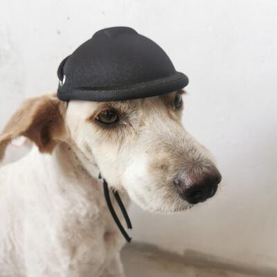 Pet helmet new biker helmet dog cat accessories pet toy hat