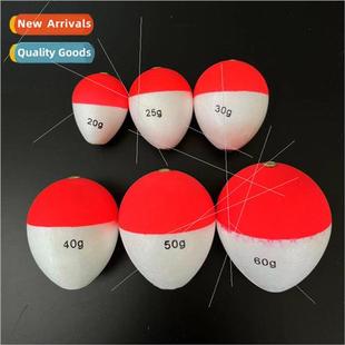 Carp Medium Fish Bottom Belly Bighead Big Off Drift