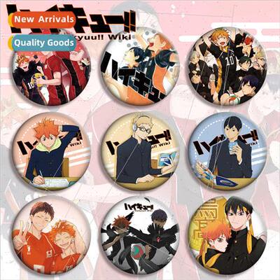 Tinplate spring pin badge brooch pendant diameter 5.8cm Dist