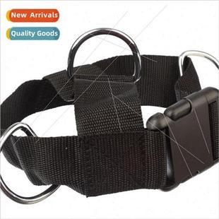 frame training sngth fitnes buttocks dragon and Snap legs