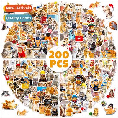 200 pcs of realistic cat stickers Mori realistic kitten stic