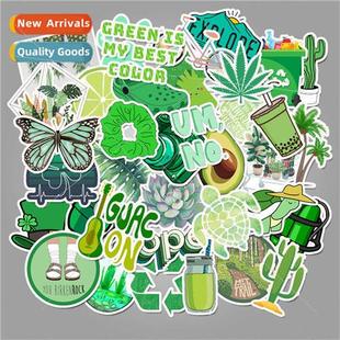 girls green super luggage VSCO stickers 50pcs graffiti