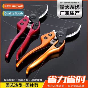garden shears pruning pruni fruit v12