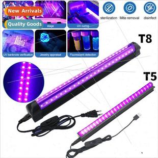 fluorescent detection New light violet cur stage