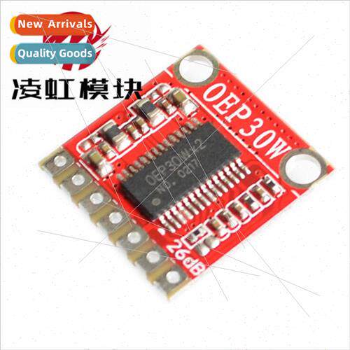 OEP30W Mono Digital Amplifier Board Module Class D 12V LCD T